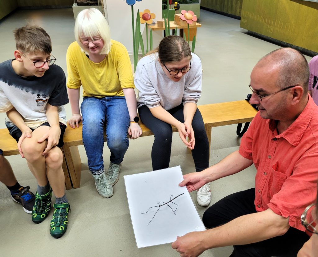 Schüler der 7a und Herr Erlacher vom Naturkundemuseum unterhalten sich. Herr Erlacher zeigt eine lebendige Stabschrecke auf einem Blatt Papier.
