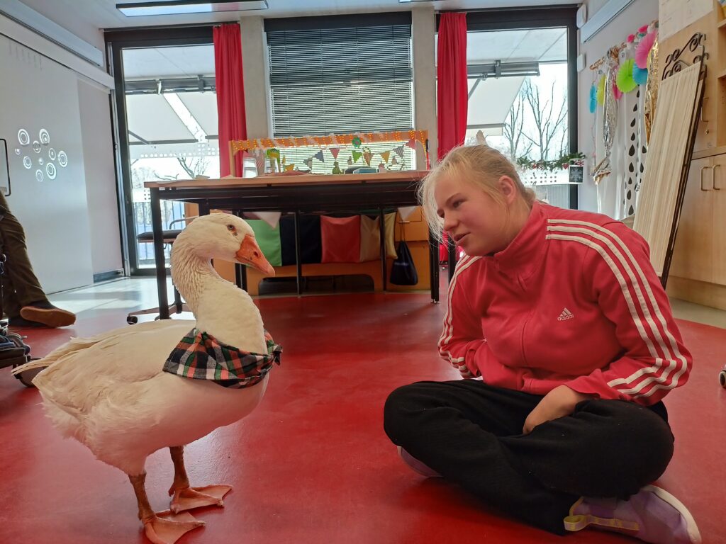 Ein Schülerin sitzt im Schneidersitz auf dem Boden des Klassenzimmers und die Gans Auguste steht direkt daneben. Die Gans hat ein Halstuch um.