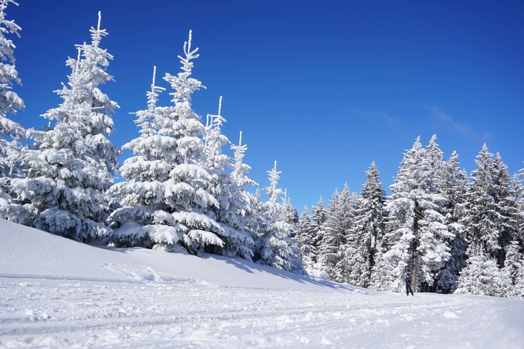 Schneelandschaft mit dick beschneiten Bäumen