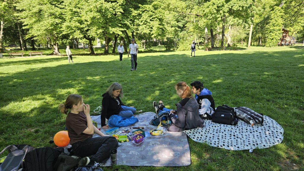 Schüler der Klasse 6b sitzen auf Picknickdecke auf einer Wiese.