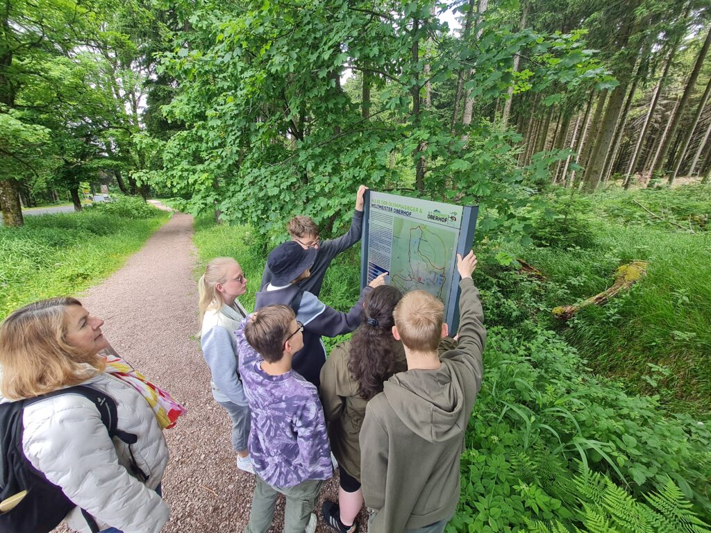 hier steht die Klasse 8/9b an einem Schild, auf dem ein Weg durch den Wald abgebildet wird