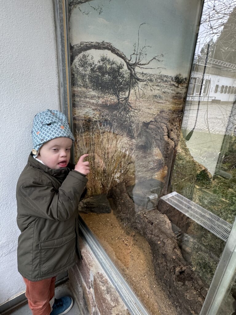 Ein Schüler steht an einem Terrarium. Er klopft mit dem Zeigefinger an die Scheibe. Ein Tier ist nicht zu sehen,