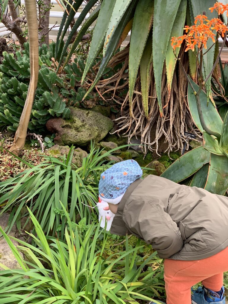 Ein Schüler steht im Innenraum des Botanischen Gartens. Er lehnt über einem Beet und greift nach einem Osternest. Im Hintergrund befinden sich verschiedene Pflanzen.